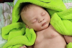 beach babies reborn nursery