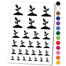 Seedling Growing Plant Temporary Tattoo Water Resistant Set