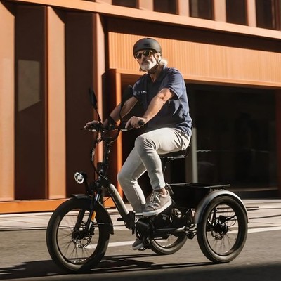 20 Zoll Elektro Dreirad 3 Räder für Alltag mit Korb E-Bike 48V FAFREES F20 MATE