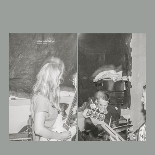Hedvig Mollestad Trio Smells Funny (CD) Album