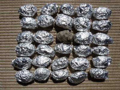 30 SMALL STERILIZED BARN OWL PELLETS