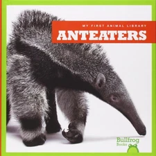 Anteaters (Bullfrog Books: My First Animal Library) by Mari Schuh