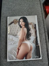 Hyper Realistic Bikini Babe Art Card 2.5x3.5 ACEO Glossy Collectible Asian Model