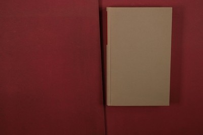412518 Thomas Bernhard WITTGENSTEINS NEFFE Suhrkamp Verlag Eine Freundschaft HC