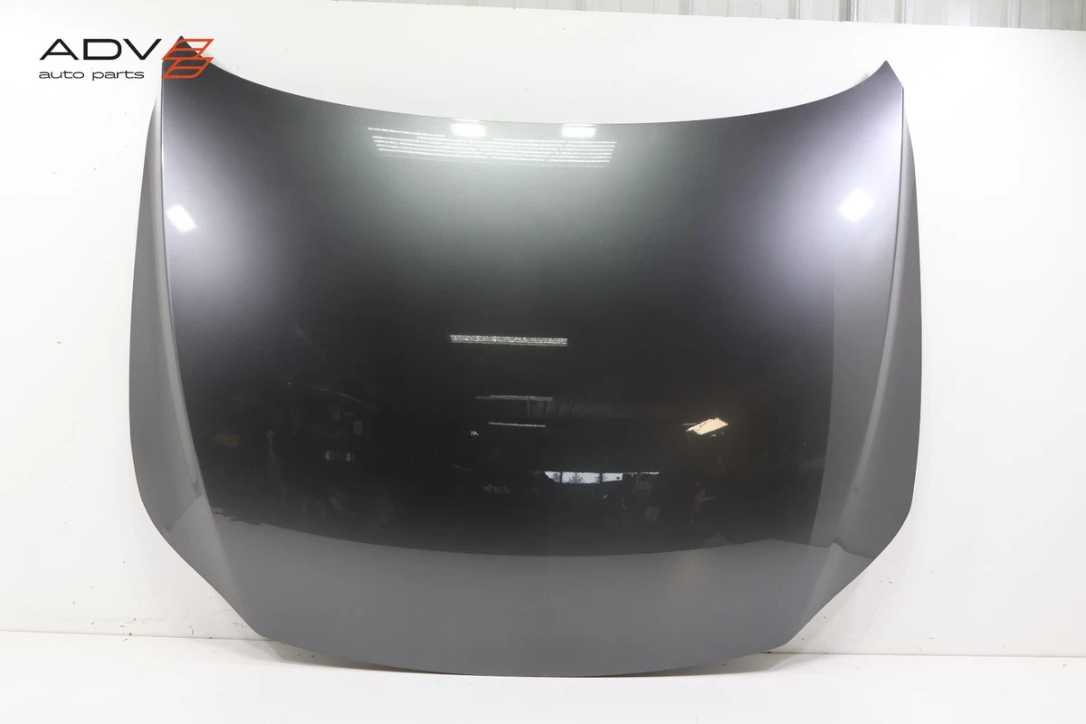 Buy Sherman 907-28-3 Hood Panel Assembly Chevrolet Colorado in
