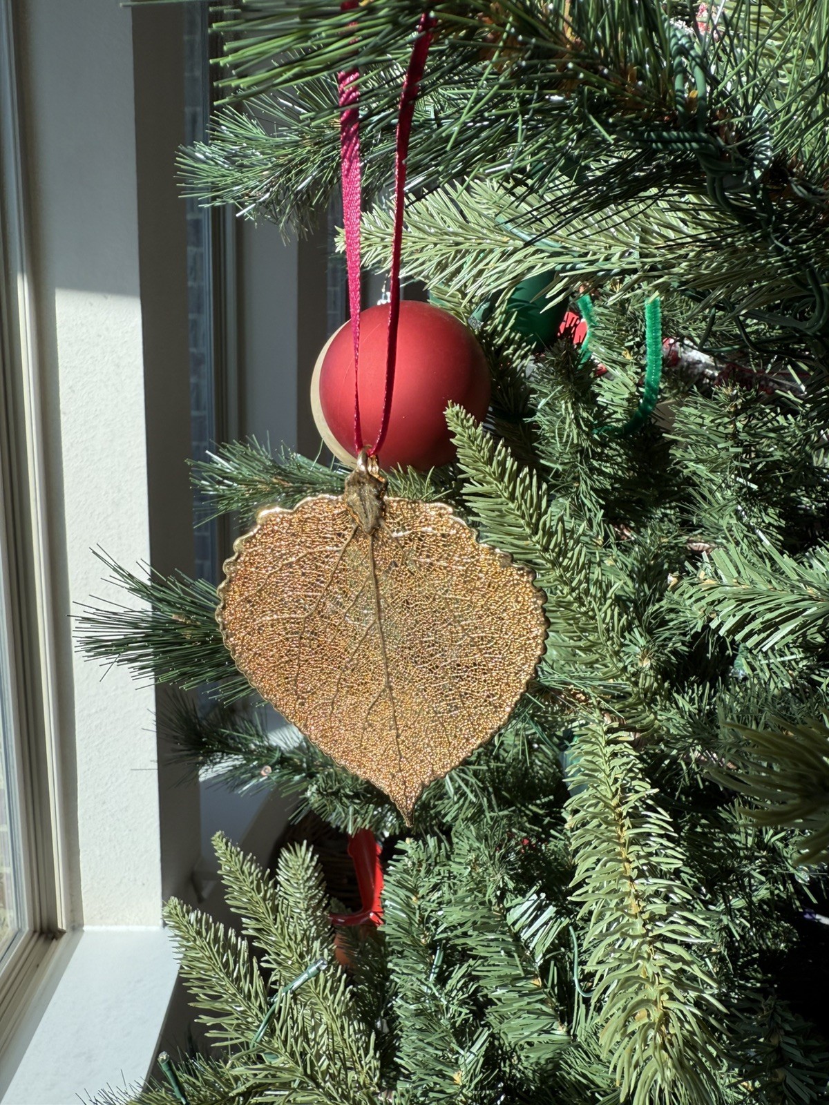 Vintage Estate Gold Dipped Plated Real Aspen Leaf… - image 3