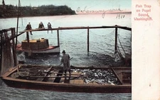 Puget Sound WA Washington Harbor Fishing Boat Oscar Lanaway Vtg Postcard C7
