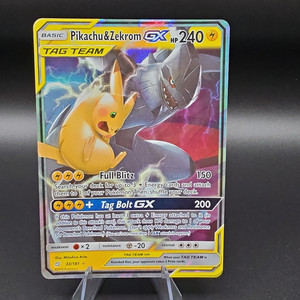 Pikachu and Zekrom | eBay