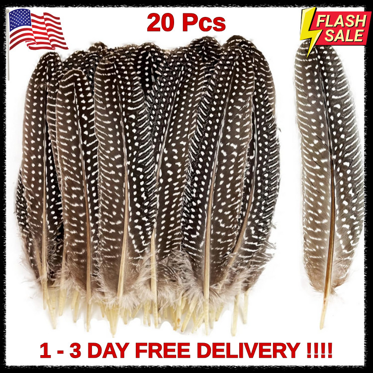 20pcs 6-9 inch Natural Guinea Wing Plumage Feather DIY Craft Jewelry Cloth Decor