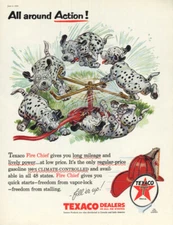 All around Action! Texaco Gasoline Dalmatian Puppies wrestle sprinkler ad 1956