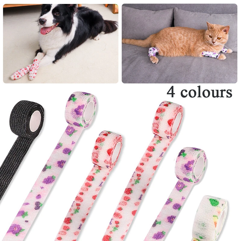 Vet bandages for dogs cheap