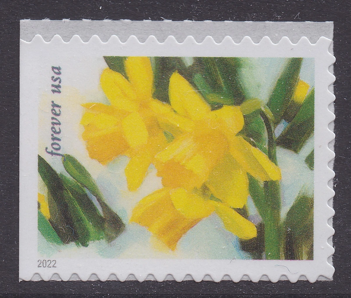 How Much Is One Forever Stamp 2022 Sale Centralcountiesservices how-much-is-one-forever-stamp-2022-sale-centralcountiesservices
