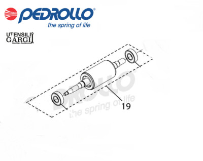 Motorbaum Für Elektropumpe Pedrollo JSW/M 2C-2CX-2CL-2CM - JDW/M 1BX-N/30-4