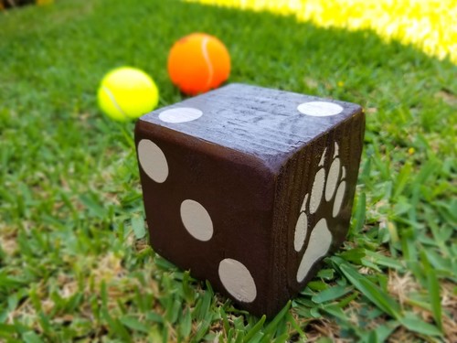 1 Jumbo DOG Or CAT PAW Lawn Yard Wood DICE Yahtzee, Bunco, Yardzee, Home Decor - Imagen 3 de 9