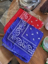 NIP New One Dozen [12] 100% Polyester Unisex Bandanas 22" X 22" Red & Blue