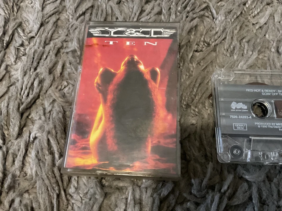 Y & T “Ten” Original Germany 1990 Cassette + Inlay RARE - Image 4 of 4