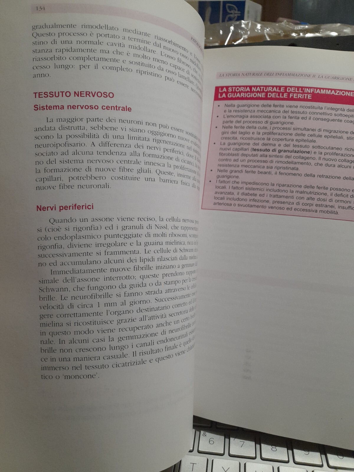 Foto 2 di 4