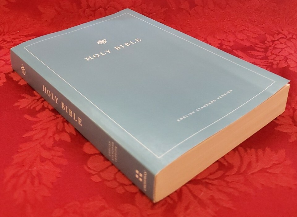ESV Economy Bible Holy Bible English Standard Version pub ESV Economy Bible Holy Bible English Standard Version pub