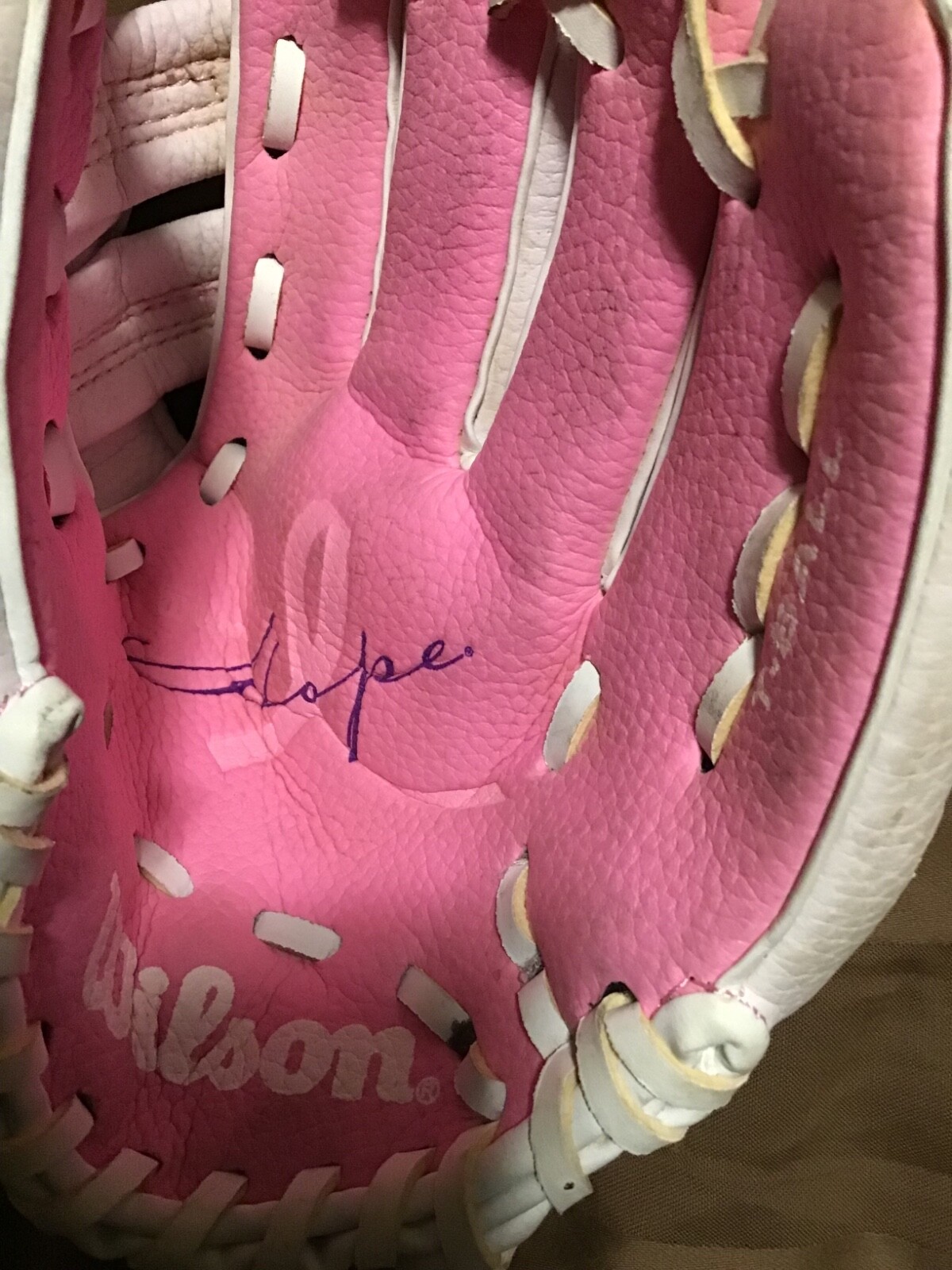 Wilson TBall Glove 10 inch A2446 Little Girls Pink Breast Cancer Hope