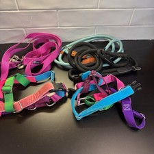 Dog Harness and Leash Lot