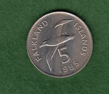 Falklands 1985 5p Falkland Islands Five Pence Black  Browed Albatross (006726)
