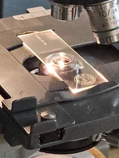 Bausch&Lomb Stage Micrometer Catalog #1861 Scale 2.2mm Long Divisions 0.1/0.01mm