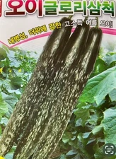 25+ Hybrid Cucumber  Seeds ( new 2023)