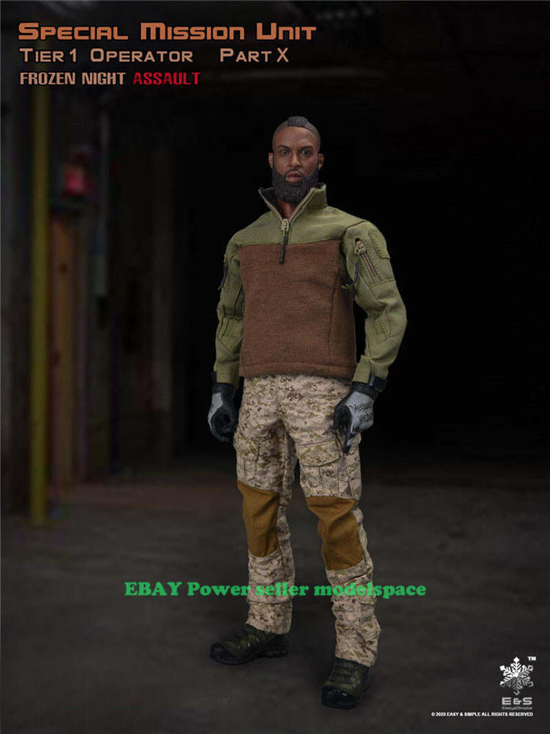 EasySimple ES26030C PSD 1/6 アクションフィギュア Amazon | Easy&Simple ES26030C PSD 1/6 アクションフィギュア