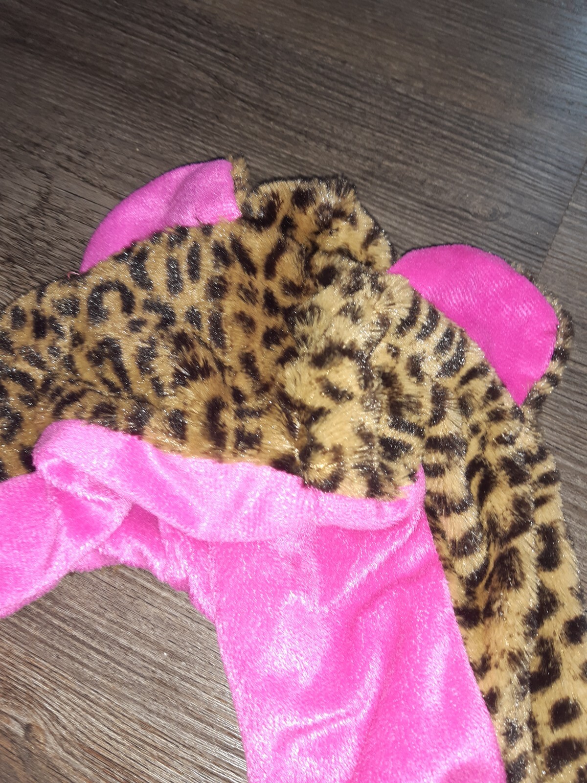 Bild 3 von 5