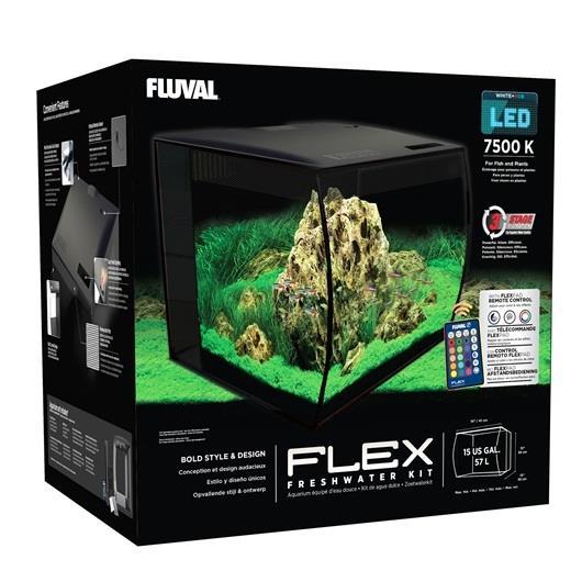 fluval edge aquarium