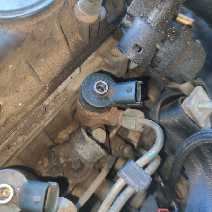 0445110076 9641742880y Fuel Injector for Peugeot 307