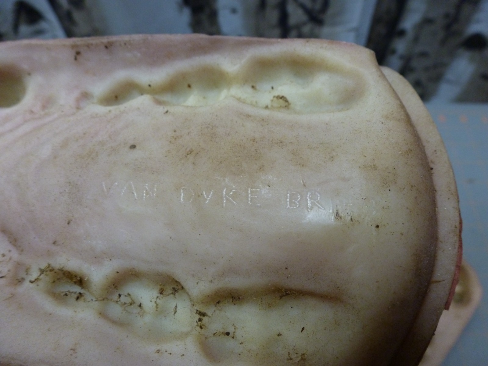 70's Black or Brown Bear Jawset Tongue for Open Mouth Head TAXIDERMY FORM M-BR-3