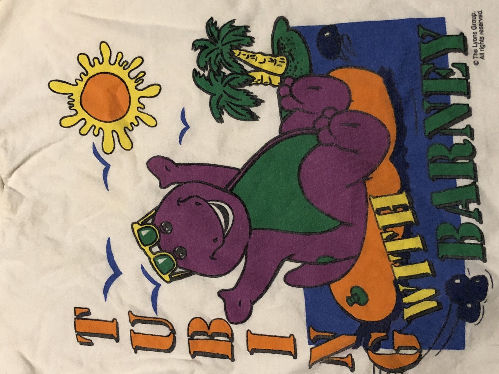 Vintage The Lyons Group Barney Kids Shirt Tubing With Barney