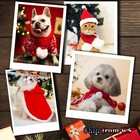 Dog Cat Pet Hood Cape Scarf Santa Hat Christmas Costume Party Dressup Puppy Xmas