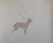 Georges Ricard-Cordingley (1873-1939) (383) - aquarelle - animal