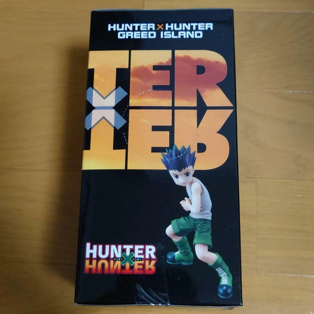 Gon Freecss, Hunter × Hunter Book!