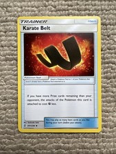 Karate Belt 201/236 Sm-Unified Minds Regular
