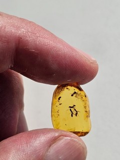 IK039 nordischer Bernstein mit Inklusen AMEISEN Original