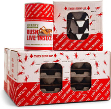 Fluker's Live Superworms 250 Count Feeder Insects Reptiles Birds