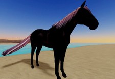 Wild Horse Islands   IUH  Standardbred Stb   ...