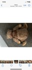 Bild 6 von 7