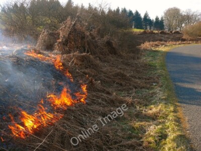 Photo 6x4 Meadow Hill Barfad Loch This was as close as I could get to thi c2011