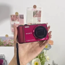 Sony Cyber-shot DSC-H70 16.1MP 10x Optical Zoom Digital Camera - Red