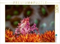 Calvendo Puzzle SchleierbäUmchen-Spinnenkrabbe 1000 Teile Puzzle Quer | 1000 Tei