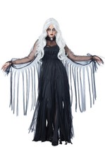 Vengeful Spirit Haunting Ghost Adult Costume