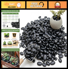 Natural Black Decorative Gravel 12 lbs - Smooth Round Pebbles, Scratch Wear Re