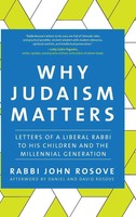 Rabbi John Rosove | Why Judaism Matters | Buch | Englisch (2017) | Gebunden