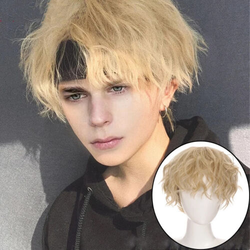 Short Curly Cosplay Men Boy Party Blonde Wigs Wave Hair Synthetic Hair Wigs  | eBay