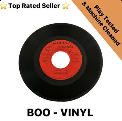 #ad #ad Sons Of Nature Ride The Vibe US Juldane 1974 Northern Soul 7” Vinyl VG GBP 18.22