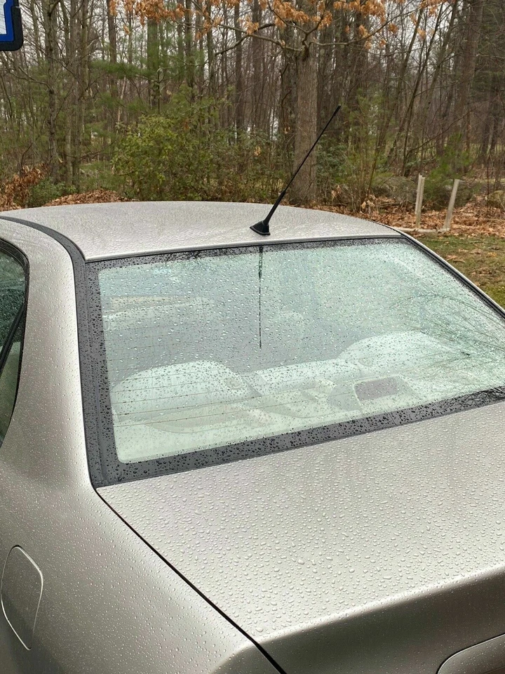 16" Antenna Mast Black Power Radio Roof AMFM for MITSUBISHI LANCER 2002-2007 New - Image 3 of 4